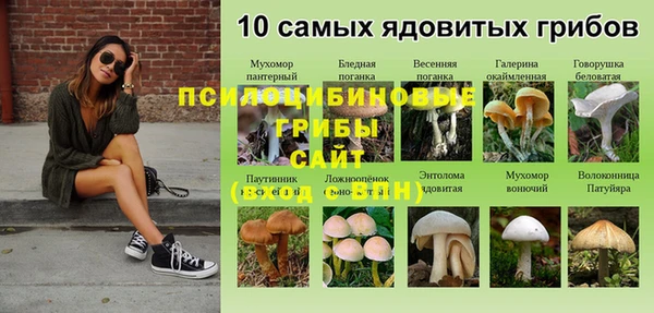 кокс Алексеевка