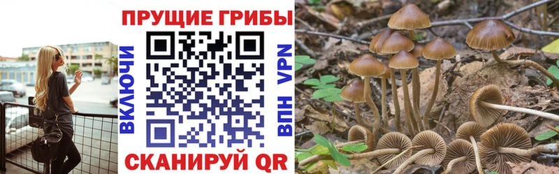 Галлюциногенные грибы MAGIC MUSHROOMS Ачхой-Мартан